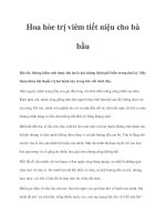 Hoa hòe trị viêm tiết niệu cho bà bầu potx