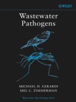 WASTEWATER MICROBIOLOGY SERIES pptx