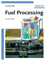 fuel processing for fuel cells