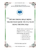Rủi ro trong hoạt động thanh toán quốc tế của ngân hàng thương mại