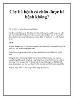 Cây bá bệnh có chữa được bá bệnh không? pptx