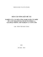 nghiên cứu cải tiến công nghệ nuôi cây phôi dừa sáp makapuno (cocos nucifera l.) giai đoạn phòng thí nghiệm và vườn ươm.