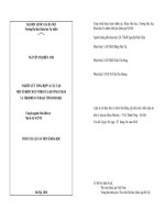 Nghiên cứu tổng hợp và cấu tạo một số hợp chất nitro của dị vòng furan và thiophen có hoạt tính sinh học