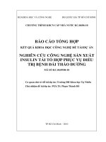 Nghiên cứu công nghệ sản xuất insulin tái tổ hợp phục vụ điều trị bệnh đái tháo đường