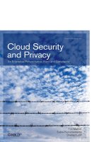 cloud security and privacy