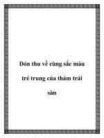Đón thu về cùng sắc màu trẻ trung của thảm trải sàn ppt