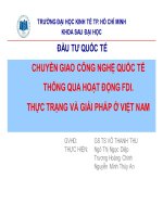 thuyết trình chuyển giao công nghệ quốc tế thông qua hoạt động fdi. thực trạng và giải pháp ở việt nam