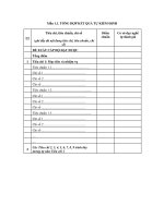 MẪU TỔNG HỢP KẾT QUẢ TỰ KIỂM ĐỊNH doc