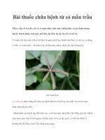 Bài thuốc chữa bệnh từ cỏ mần trầu doc