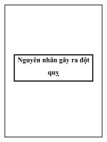 Nguyên nhân gây ra đột quỵ docx