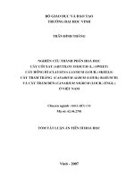 Nghiên cứu thành phần hoá học cây cối xay (Abutilon indicum (L.) sweet) cây hồng bì (Clausena lansium ( Lour.) skeels) cây trám trắng (Canarium album (Lour.) raeusch) và cây trám đen (Canarium nirgum (Lour.) engl.) ở Việt Nam