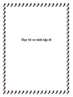 Dạy bé sơ sinh tập đi pdf