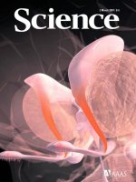 Tạp chí khoa học số  2007-03-02