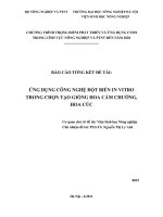 ứng dụng công nghệ đột biến in vitro trong chọn tạo giống hoa cẩm chướng, hoa cúc