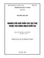 Nghiên cứu giải phẫu các vạt phụ thuộc vào động mạch dưới vai