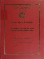 khóa luận tốt nghiệp kinh nghiệm bán hàng đa cấp trên thế giới và bài học cho doanh nghiệp việt nam