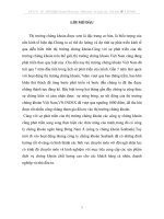 giải pháp phát triển hoạt động tư vấn đầu tư chứng khoán tại công ty chứng khoán seabs