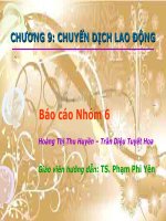 Báo cáo môn Kinh tế học lao động - Chuyển dịch lao động