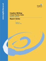 Creative Writing: A Good Practice Guide Siobhán Holland pptx