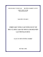 Chọn lọc nâng cao năng suất vịt MT1 và MT22, tạo vịt MT12 làm mái nền lai với ngan RT11