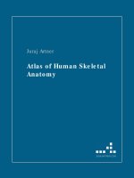 atlas of human skeletal anatomy - juraj artner