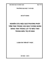 Nghiên cứu hiệu quả phương pháp tiêm tinh trùng vào bào tương noãn bằng tinh trùng lấy từ mào tinh trong điều trị vô sinh
