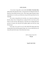 TÍNH CHẤT NHIỆT ĐỘNG CỦA  NGƯNG TỤ BOSE - EINSTEIN CÁC KHÍ BOSE TƯƠNG TÁC YẾU     LUẬN VĂN THẠC SĨ KHOA HỌC   S. TSKH