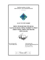 phân tích rủi ro tín dụng tại ngân hàng nông nghiệp và phát triển nông thôn chi nhánh tiền giang 