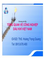 TỔNG QUAN VỀ CÔNG NGHIỆP DẦU KHÍ ViỆT NAM