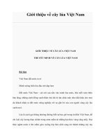 Giới thiệu về cây lúa Việt Nam potx