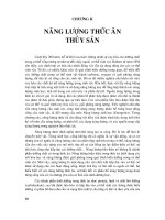 năng lượng thức ăn thủy sản