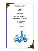 tiểu luận leading change (cameron and green 2009)