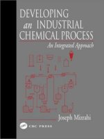 developing an industrial chemical process an integrated approach