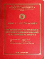 khóa luận tốt nghiệp thực trạng và giải pháp phát triển kinh doanh dịch vụ thông tin di động của các doanh nghiệp tại việt nam giai đoạn hậu gia nhập wto