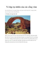 Vẻ đẹp tự nhiên của các cổng vòm ppt