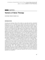  vectors in gene therapy