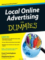 local online advertising for dummies
