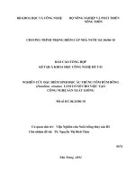 Nghiên cứu đặc điểm sinh học ấu trùng tôm hùm bông panulirus ornatus làm cơ sở cho việc tạo công nghệ sản xuất giống