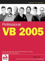 professional vb 2005 2006