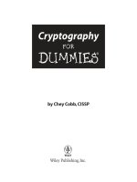 cryptography for dummies 