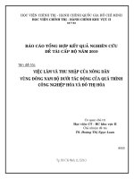 Việc làm và thu nhập của người nông dân miền đông nam bộ dưới tác động của quá trình công nghiệp hóa, đô thị hóa