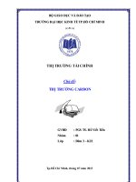 Tiểu luận: Thị trường carbon