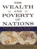 The wealth and poverty of nations( 1998)   (eng)