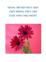 TRANG TRÍ NỘI THẤT: MỘT CHÚT PHONG THỦY CHO CUỘC SỐNG NHẸ NHÀNG ppt