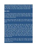 thị trường chứng khoán sơ cấp là thị trường mua bán các chứng khoán mới phát hành