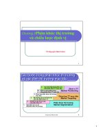 Quản trị ẩm thực Phân khúc thị trường và chiến lược định vị