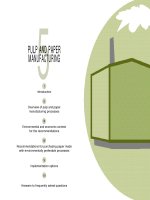 PULP AND PAPER MANUFACTURING pdf