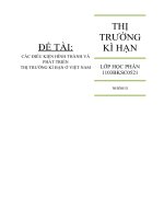 CÁC điều KIỆN HÌNH THÀNH VÀ PHÁT TRIỂN THỊ TRƯƠNG kì hạn ở VIỆT NAM