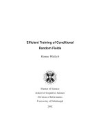 efficient training of conditional random fields.ps