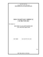 bảo tồn và lưu giữ nguồn gen cây nguyên liệu giấy